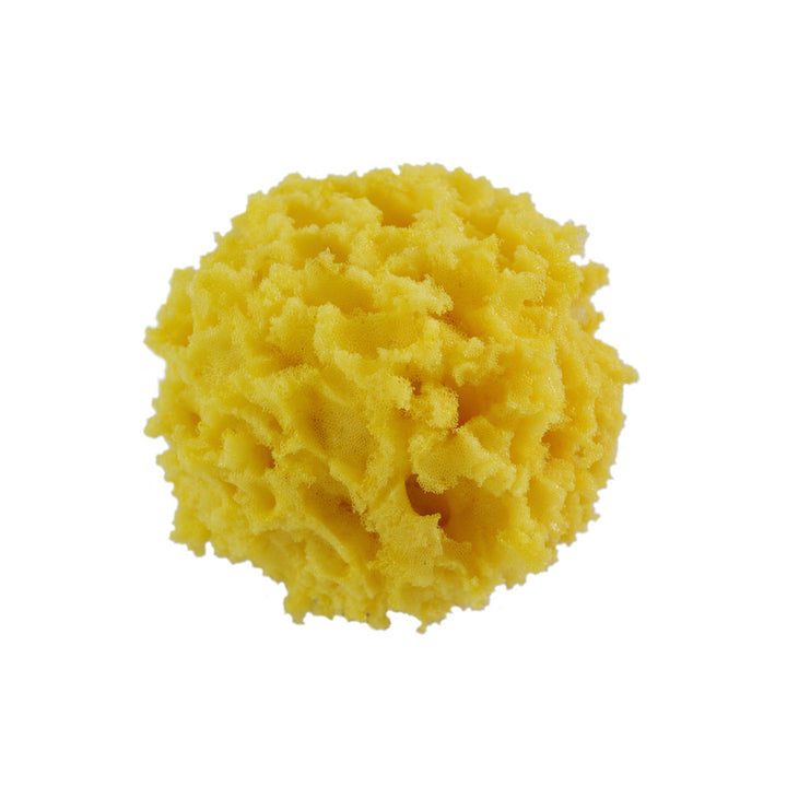 Giani 4" Textured Sponge